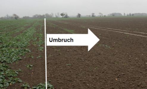 Herren 50 im Umbruch